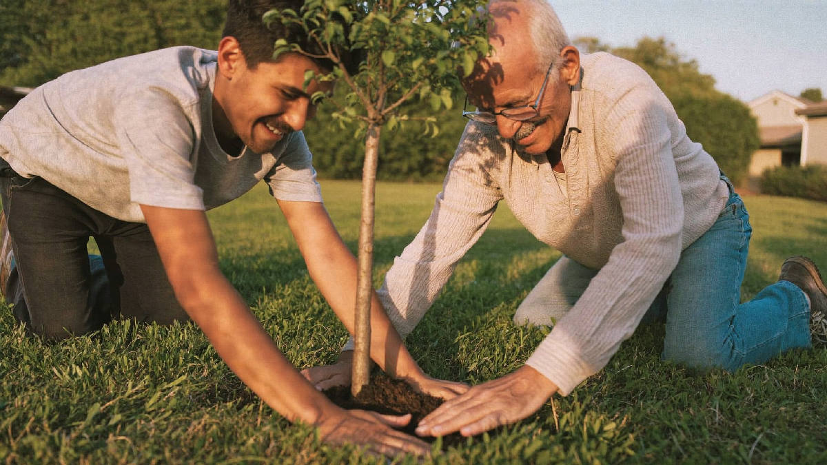An elderly man and his adult son kneeling together in a sunlit backyard at golden hour, both cupping their hands around a newly planted young tree sapling